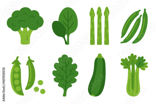 Green Vegetables Illustrations. Flat vector mini-illustrations green vegetables in colors children's illustrations: broccoli,