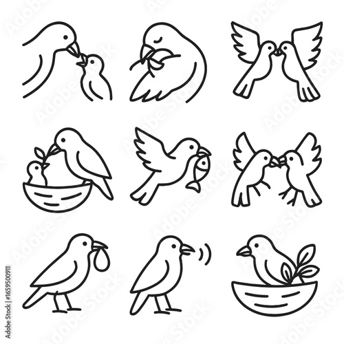 Beak Icon Set. Outline icon set of beak usage scenarios: feeding chick, preening, courtship display, grooming, nest building,