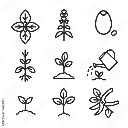 Basil Botanical Icons. Outline icon set of basil botanical parts: leaves cluster, flower spike, seed pod, roots, stem, soil,