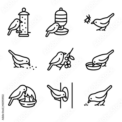 Bird Feeding Icons. Outline icon set of small bird feeding: seed feeder, nectar feeder, insect catching, ground foraging, berry