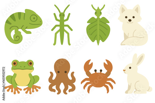 Colorful Animal Camouflage Icons. Flat vector mini-illustrations camouflage color change in colors children's illustrations: