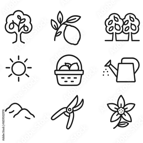 Lemon Harvest Icons. Outline icon set of lemon harvesting and growth: lemon tree, lemon branch with leaves, lemon orchard, lemon