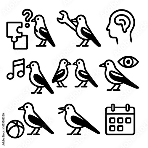 Magpie Intelligence Icons. Outline icon set of magpie intelligence: problem solving, tool use, memory, mimicry, social learning,