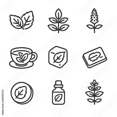 Mint Icon Set. Outline icon set of mint: mint leaves, mint sprig, mint flower, mint tea cup, mint ice cube, mint gum, mint candy,