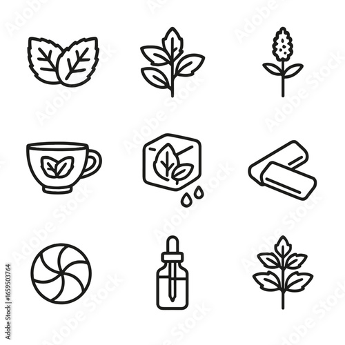 Mint Icon Set. Outline icon set of mint: mint leaves, mint sprig, mint flower, mint tea cup, mint ice cube, mint gum, mint candy,