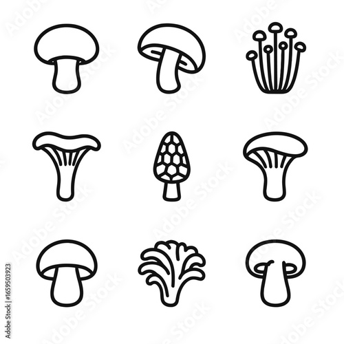 Mushroom Icon Grid. Outline icon set of mushroom types and varieties: button mushroom, shiitake, portobello, enoki, chanterelle,