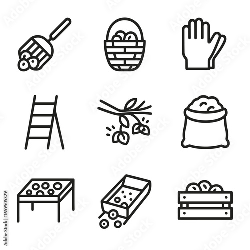 Nut Harvesting Icons. Outline icon set of nut harvesting: nut picker, basket, gloves, ladder, shaking branch, sack, drying rack,