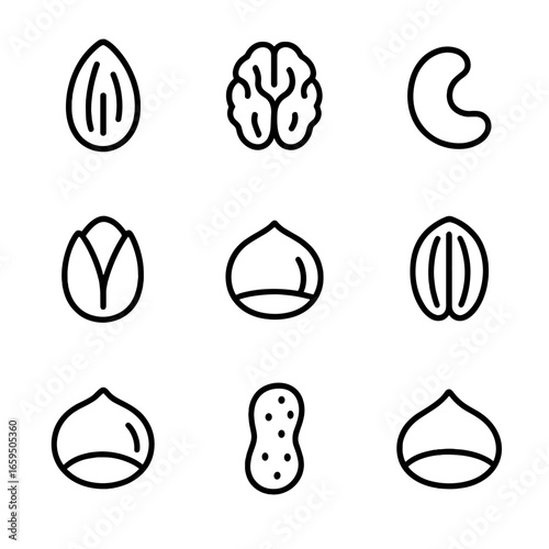 Nutty Foods Icons. Outline icon set of nutty foods: almond, walnut, cashew, pistachio, hazelnut, pecan, macadamia, peanut,