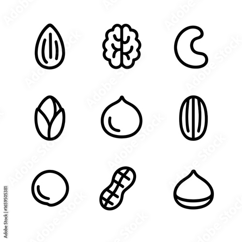 Nutty Foods Icons. Outline icon set of nutty foods: almond, walnut, cashew, pistachio, hazelnut, pecan, macadamia, peanut,