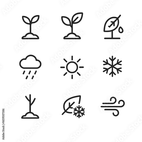 Seasonal Sapling Icons. Outline icon set of sapling seasonal changes: spring growth, summer leaf, autumn leaf drop, winter