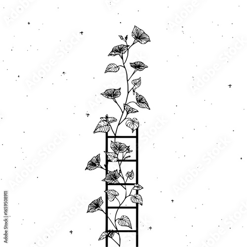 Morning glory flowers climbing ladder vector illustration botanical line art drawing floral design element decor art 100