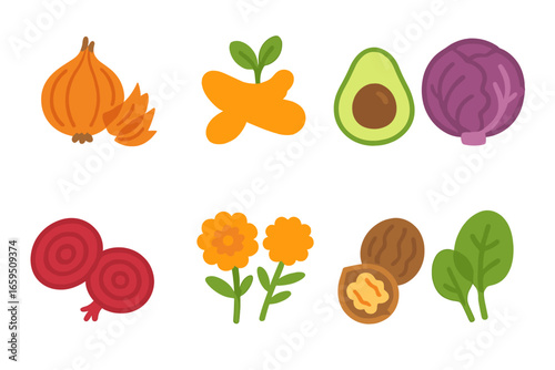 Colorful Botanical Dyes. Flat vector mini-illustrations of botanical dye sources in colors children's