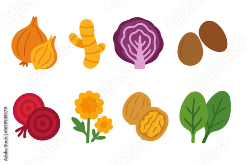 Colorful Botanical Dyes. Flat vector mini-illustrations of botanical dye sources in colors children's