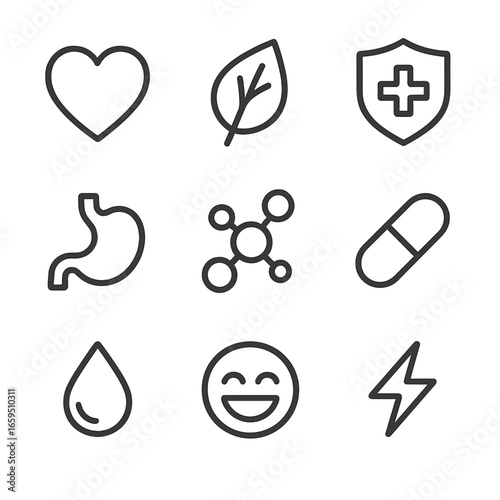 Wasabi Health Icons. Outline icon set of wasabi health benefits: heart, leaf, immune system, digestion, antioxidants, vitamin