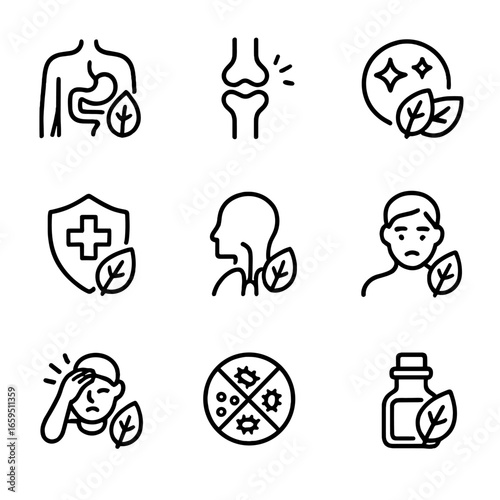 Basil Health Benefits Icons. Outline icon set of basil health benefits: digestion aid, anti-inflammatory, antioxidant, immune