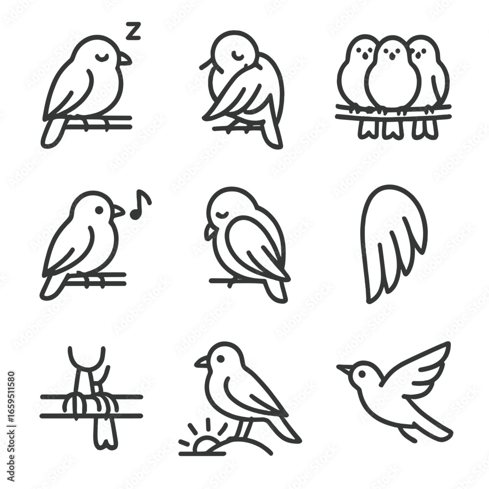 Obraz premium Bird Behavior Icons. Outline icon set of roosting behaviors: sleeping bird, preening bird, flock huddling, night call, wing
