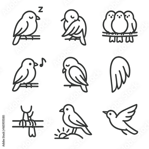 Bird Behavior Icons. Outline icon set of roosting behaviors: sleeping bird, preening bird, flock huddling, night call, wing