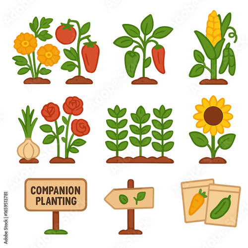 Companion Planting Icons. Flat vector mini-illustrations companion planting for pest control in colors