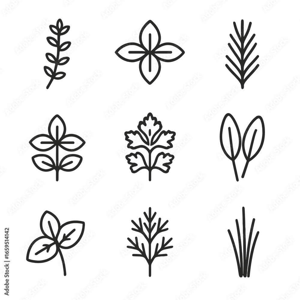 Culinary Herbs Icons. Outline icon set of thyme culinary herbs: thyme, basil, rosemary, oregano, parsley, sage, mint, dill, chives Culinary Herbs Icons. Outline icon set of thyme culinary herbs: thyme, basil, rosemary, oregano, parsley, sage, mint, dill, chives