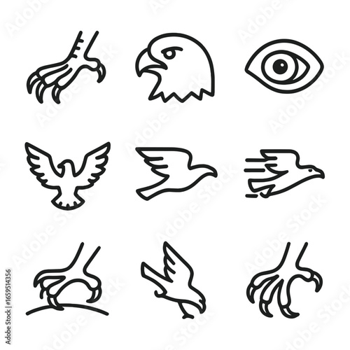 Eagle Hunting Tools. Outline icon set of eagle hunting tools: sharp talons, hooked beak, keen eyesight, powerful wings, stealth