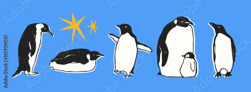Set of king imperial penguins in different poses. Adult birds and chick. Standing, lying down, walking penguins. Cute adorable birds. Hand drawn modern Vector illustration. Isolated design elements