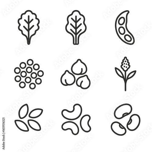 Iron-Rich Plant Icons. Outline icon set of iron-rich plant foods: kale, swiss chard, soybeans, lentils, chickpeas, quinoa, pumpkin