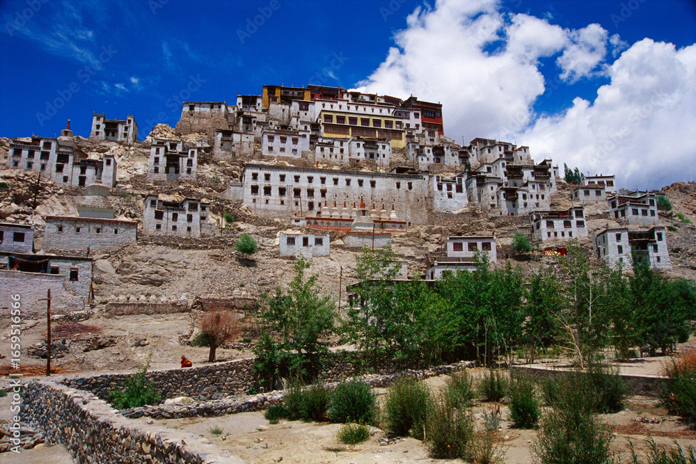 Fototapeta premium indian buddhist monastery gompas india