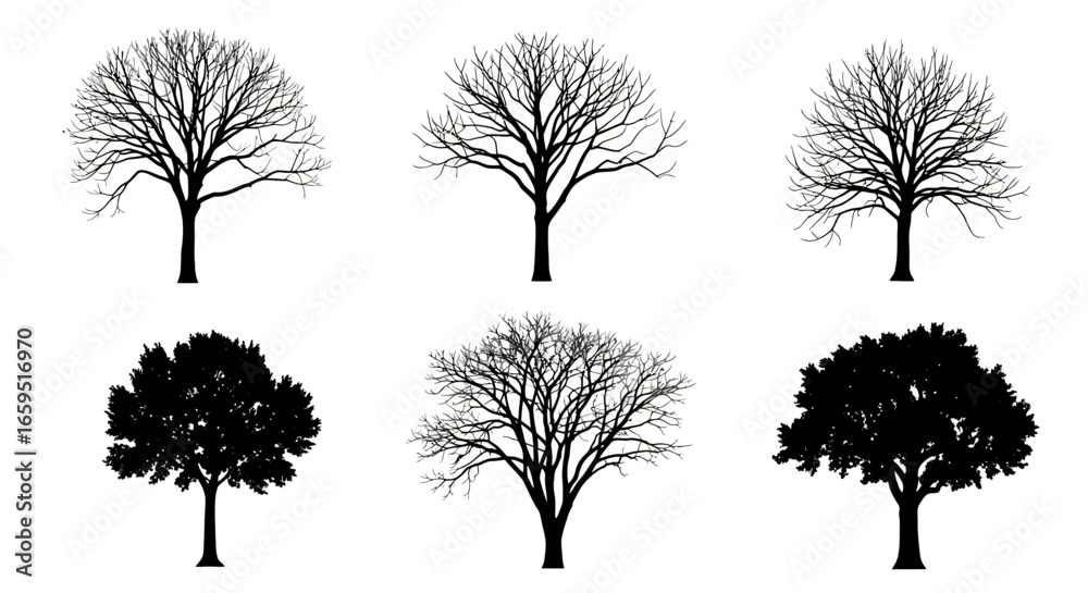 Fototapeta premium Collection of six tree silhouettes, some with leaves and some without, against a white background.