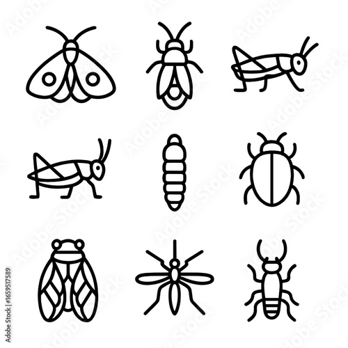 Nocturnal Insect Icons. Outline icon set of nocturnal insects: moth, firefly, cricket, katydid, glowworm, beetle, cicada, mosquito