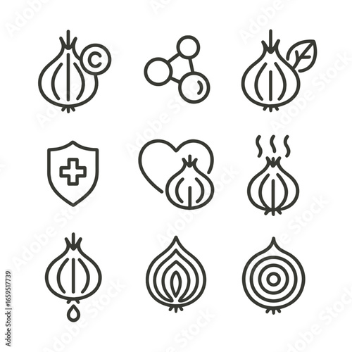 Onion Health Icons. Outline icon set of onion health and nutrition: onion vitamin C, antioxidants, fiber, immune support, heart