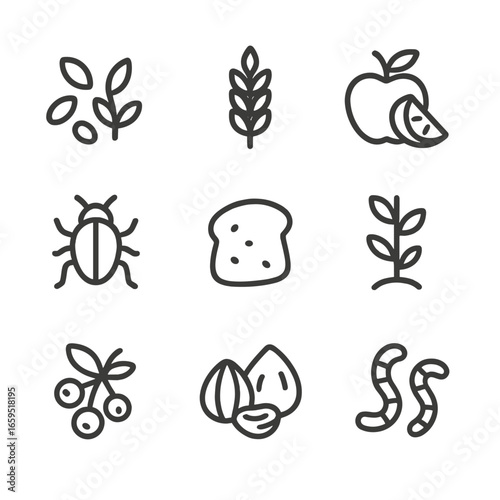 Pigeon Diet Icons. Outline icon set of pigeon diet: seeds, grains, fruits, insects, bread crumbs, small plants, berries, nuts,