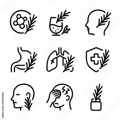 Rosemary Health Icons. Outline icon set of rosemary health benefits: antioxidant, anti-inflammatory, memory aid, digestion aid,