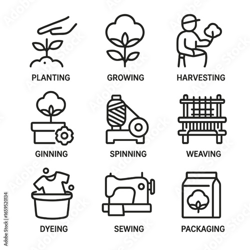 Cotton Production Icons. Outline icon set of cotton production stages: planting, growing, harvesting, ginning, spinning, weaving,