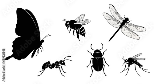 Silhouetted insects including a butterfly, bee, dragonfly, ant, beetle, and mosquito, displayed on white.