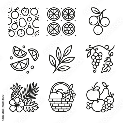 Fruit Icon Set. Outline icon set of fruity patterns and decorations: fruit prints, fruit slices pattern, berry clusters, citrus