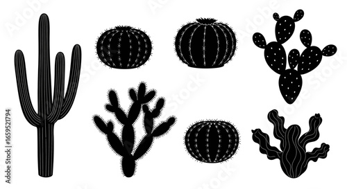 Silhouetted illustrations of various cactus species, showcasing diverse shapes and forms.