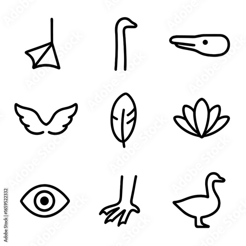 Goose Anatomy Icons. Outline icon set of goose physical features: webbed feet, long neck, flat beak, wingspan, plumage texture,