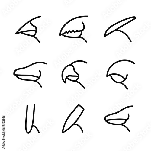 Beak Adaptations Icons. Outline icon set of beak adaptations: sharp tip, serrated edges, long slender shape, broad flat shape,