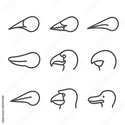 Beak Adaptations Icons. Outline icon set of beak adaptations: sharp tip, serrated edges, long slender shape, broad flat shape,