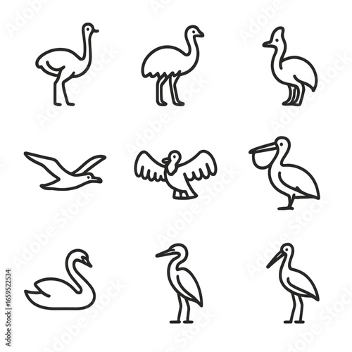 Big Bird Icons. Outline icon set of big bird species: ostrich, emu, cassowary, albatross, condor, pelican, swan, heron, stork.