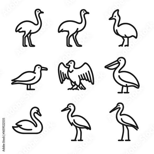 Big Bird Icons. Outline icon set of big bird species: ostrich, emu, cassowary, albatross, condor, pelican, swan, heron, stork.