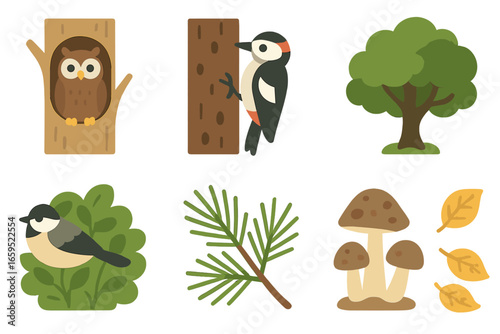 Forest Bird Illustrations. Flat vector mini-illustrations forest birds and habitats in colors children's