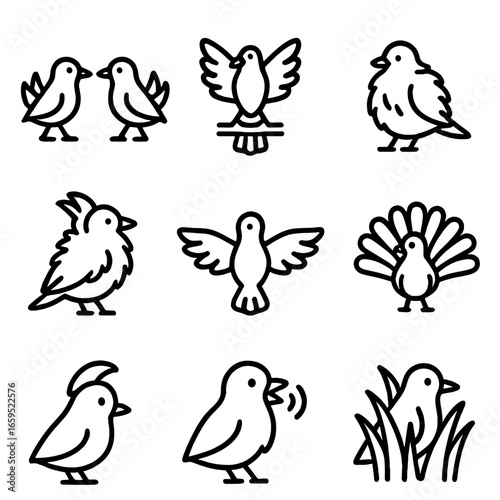 Bird Behavior Icon Set. Outline icon set of plumage behaviors: courtship display, territorial display, feather fluffing, feather