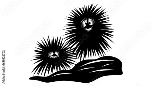 Smiling sea urchins with radiating spines on rock – Whimsical marine life, Anthropomorphic charm, Symbolic joy, sea urchin, ocean, cartoon, abstract