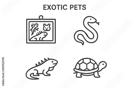 Exotic pets: snake, lizard, turtle, and terrarium icon set in black and white