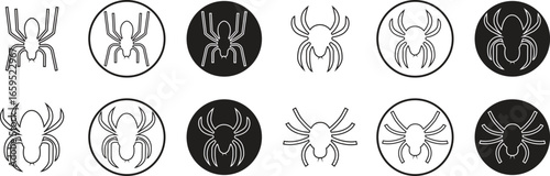 Widow spider icons set in line styles. Collection and group of deadly venomous spider, black widow, jumping spider, insect silhouette, creepy Halloween symbol, spooky and haunted arachnid.