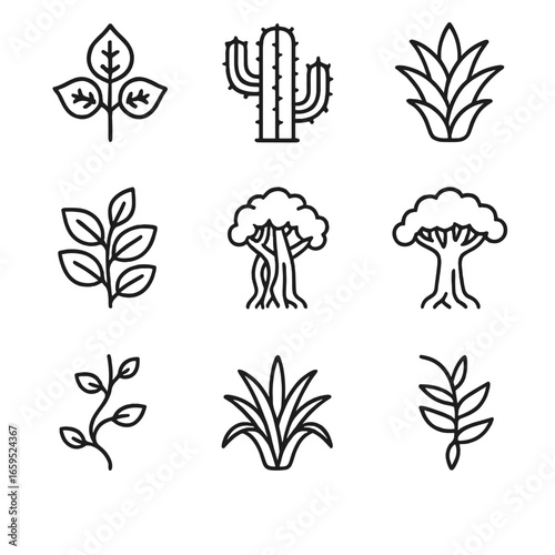 Jungle Plant Icons. Outline icon set of jungle plants: poison ivy, cactus, bromeliad, rubber tree, strangler fig, kapok tree,