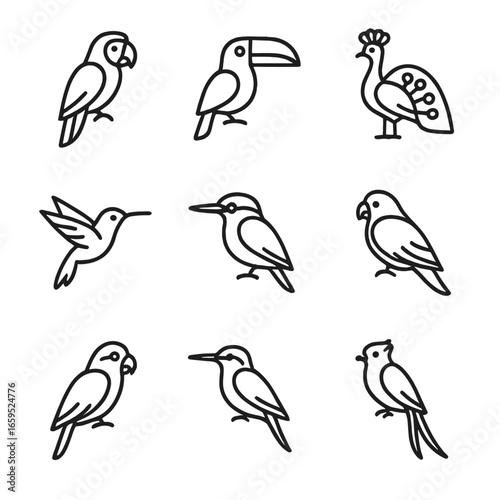 Colorful Bird Icons. Outline icon set of colorful birds: macaw, toucan, peacock, hummingbird, kingfisher, lorikeet, parrot,