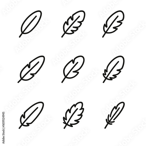 Feather Types Icons. Outline icon set of feather types for flight: primary feathers, secondary feathers, covert feathers, tail