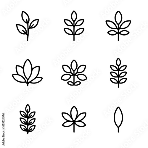 Leaf Icon Grid. Outline icon set of leaf arrangements: alternate leaf, opposite leaf, whorled leaf, rosette leaf, basal leaf,